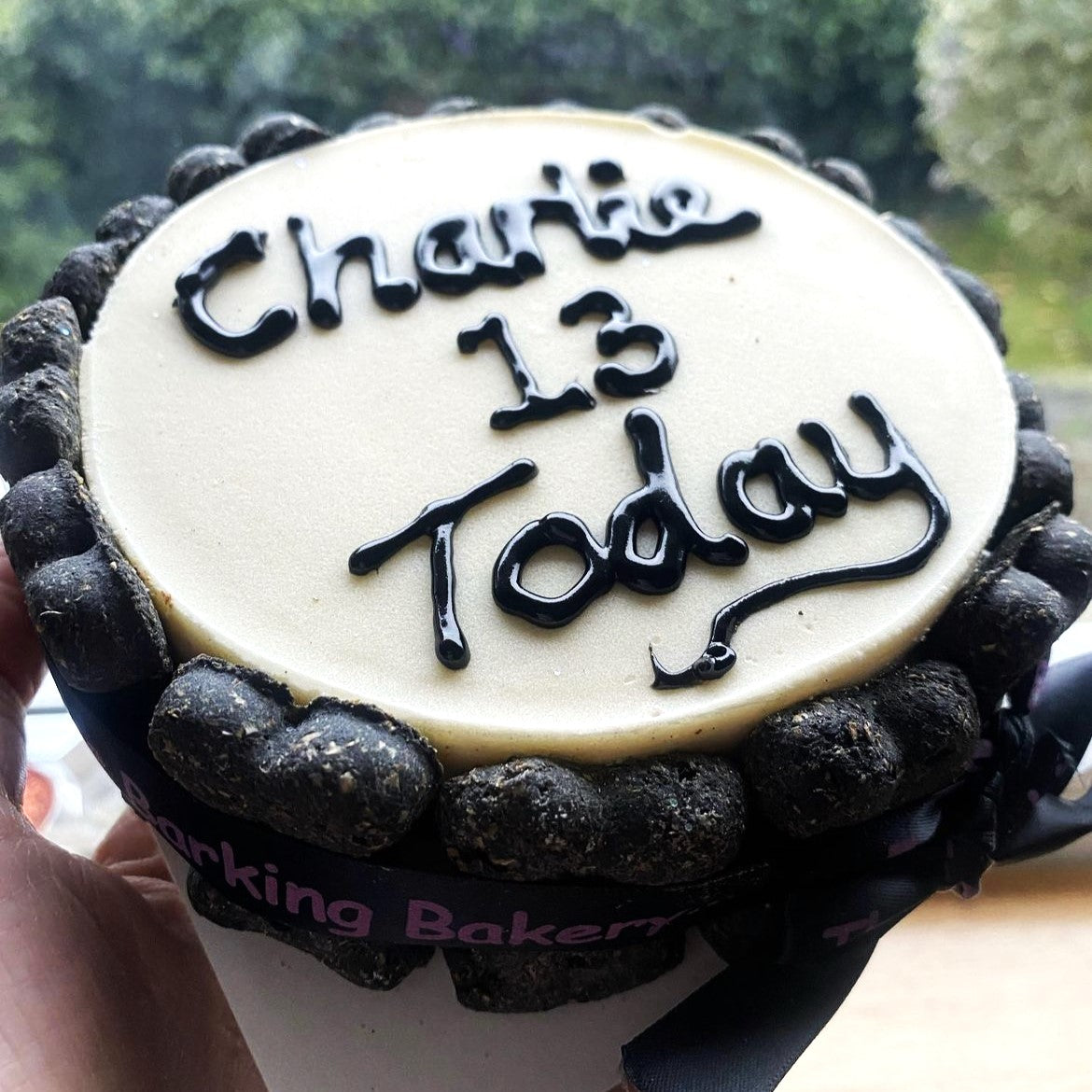 Vanilla Yoghurt Topped Pawty Cake for Dogs