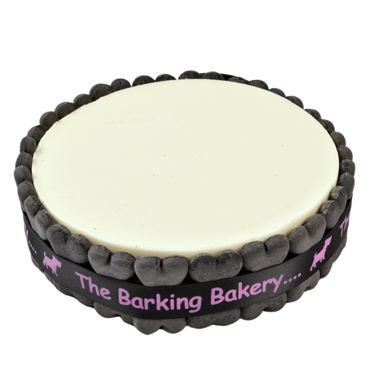 Vanilla Yoghurt Topped Pawty Cake for Dogs