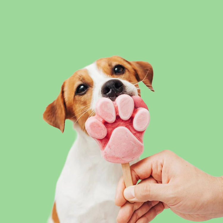 Pupcorn