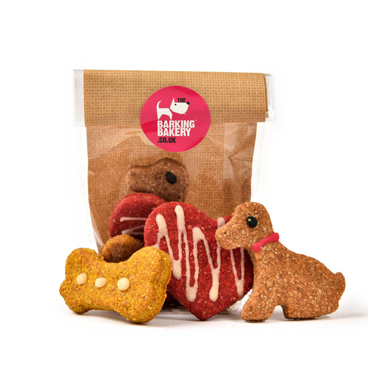 Cheesy Dog Biscuits