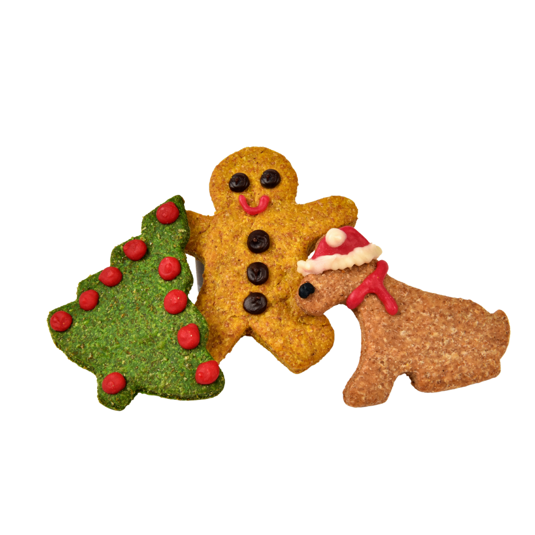 Yappy Woofmas Cheesy Biscuits