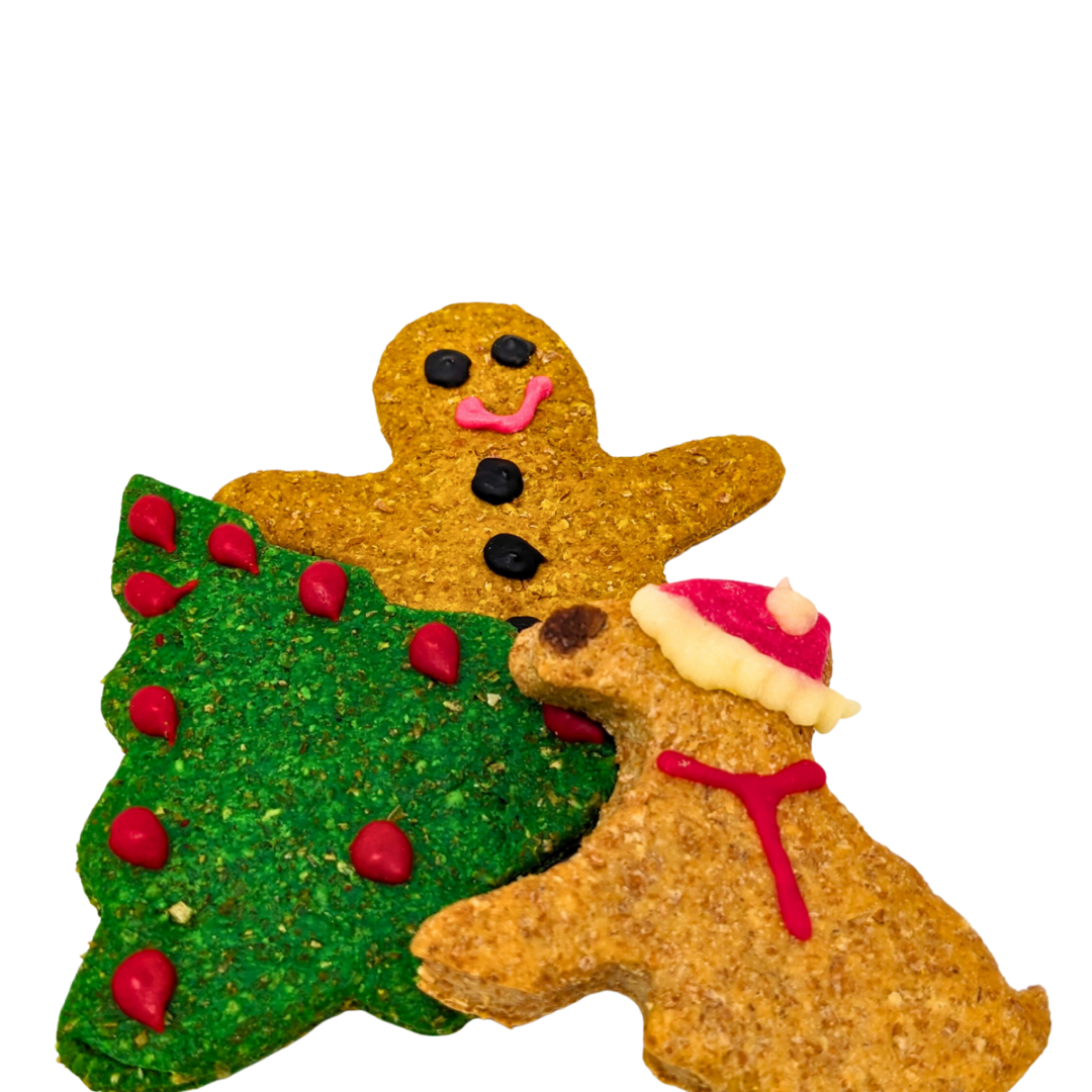Yappy Woofmas Cheesy Biscuits