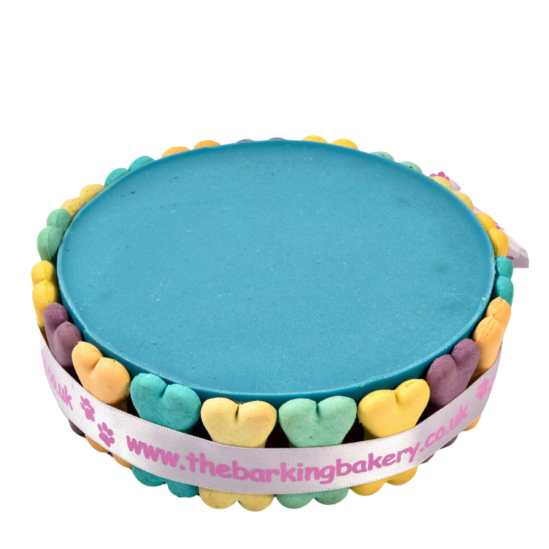 Blue Yoghurt Topped Pawty Cake for Dogs