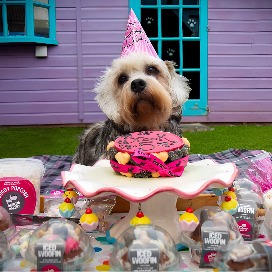 Pink Yoghurt Topped Pawty Cake
