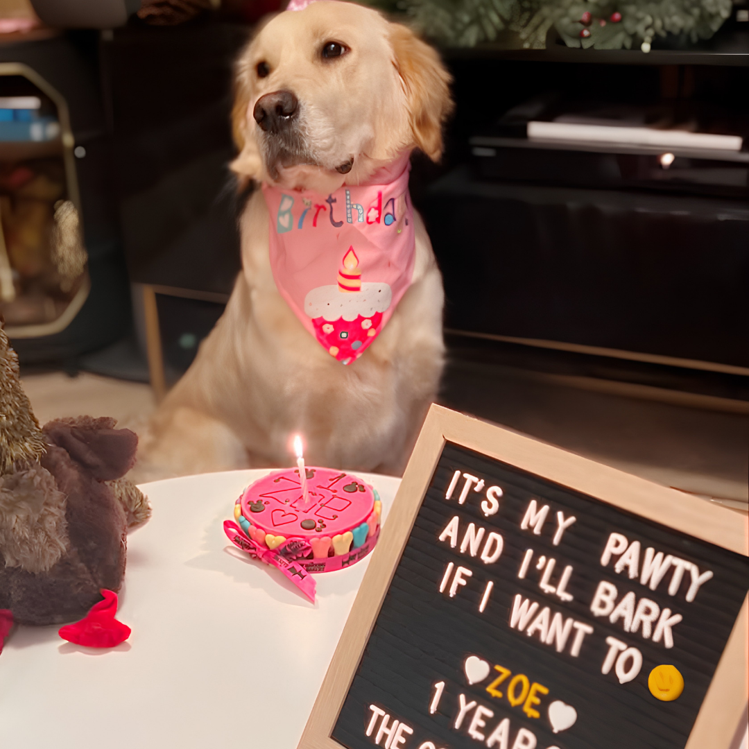 Pink Yoghurt Topped Pawty Cake