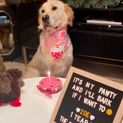 Pink Yoghurt Topped Pawty Cake
