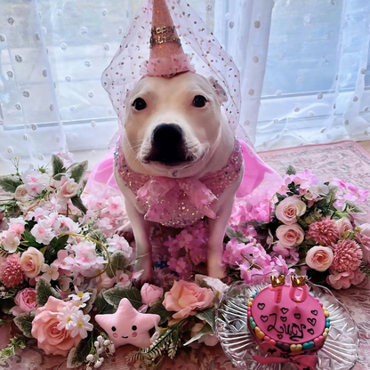Pink Yoghurt Topped Pawty Cake
