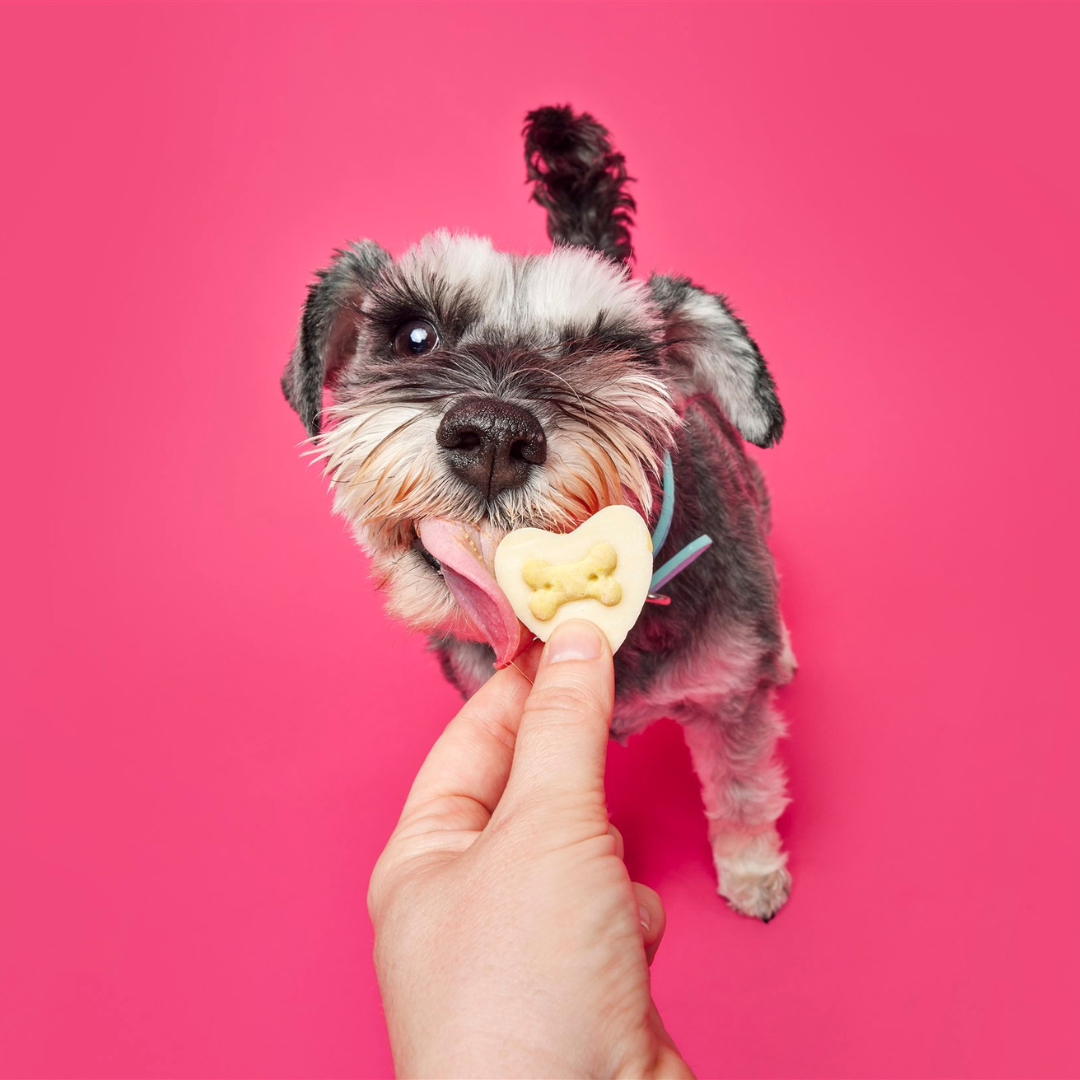 Doggy Yoghurt Heart Shaped Drops