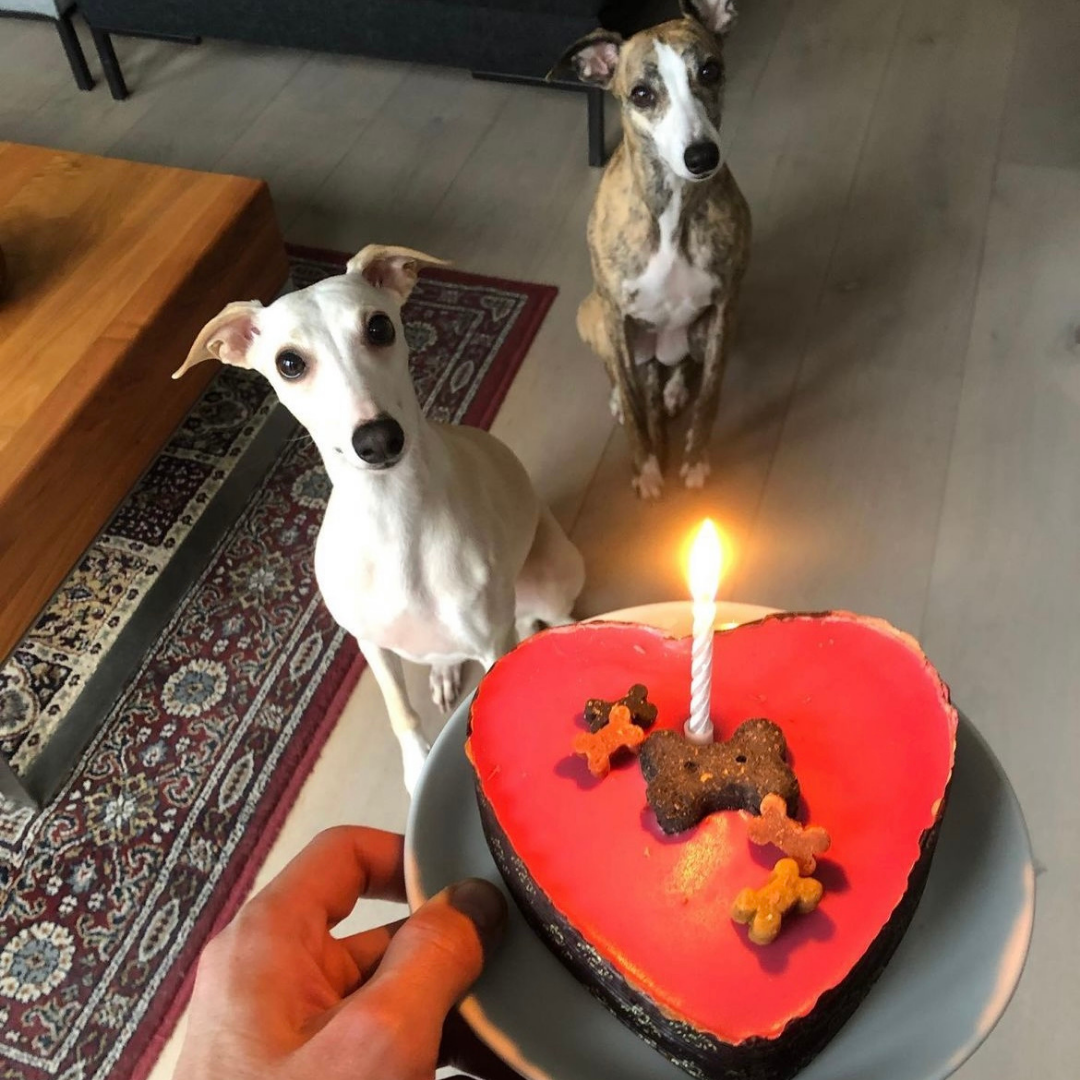 Pink Heart Yoghurt Topped Pawty Cake with candle