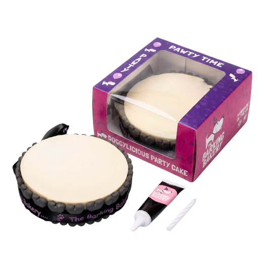 Vanilla Yoghurt Topped Pawty Cake for Dogs