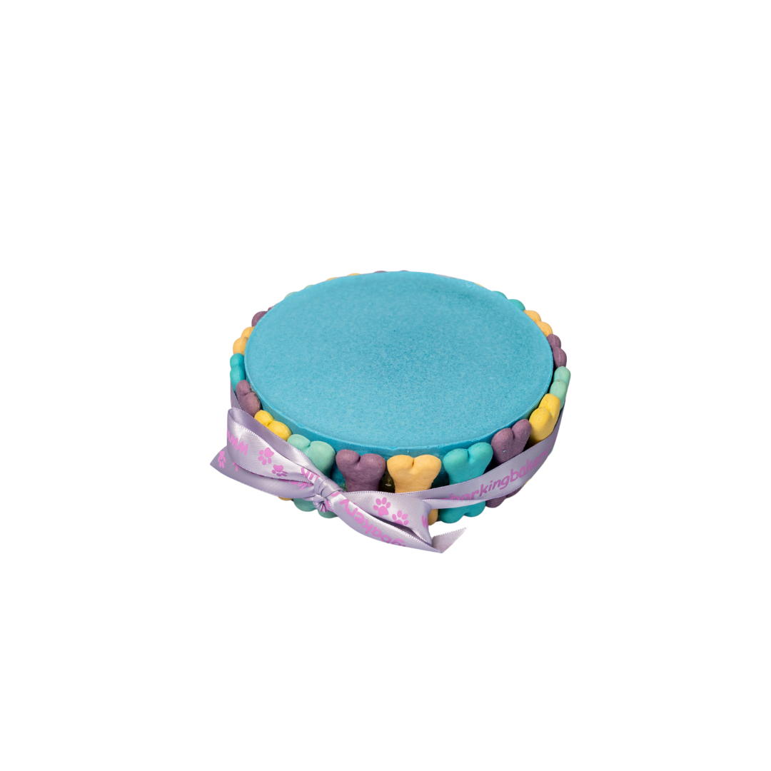 Blue Yoghurt Topped Pawty Cake for Dogs