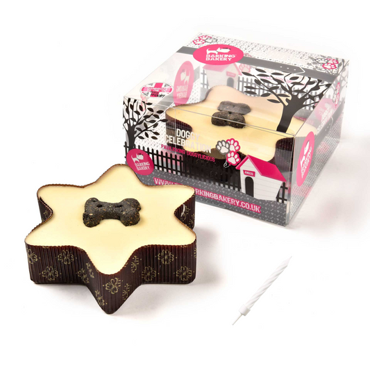 Yoghurt Topped Star Cake with Biscuit Bone