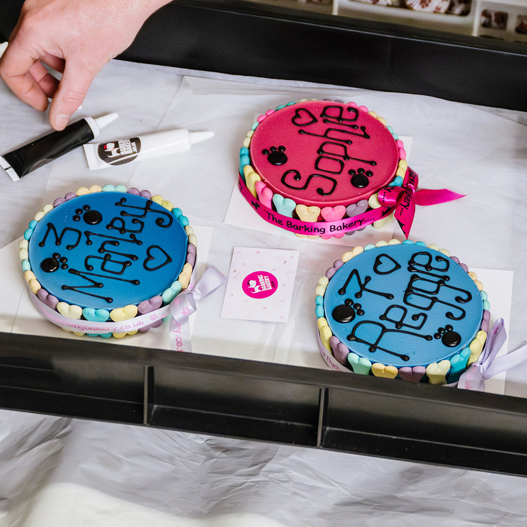 Handwritten Pink Yoghurt Topped Pawty Cake (Please allow 5-7 working days delivery)