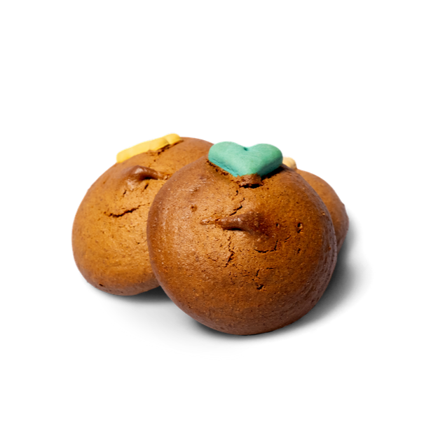 Doggy Cookie