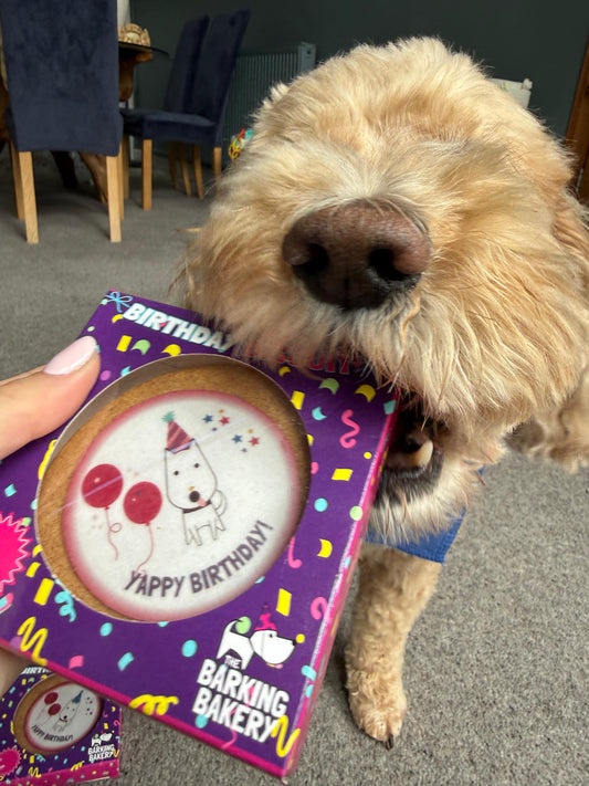 Yappy Birthday Biscuit