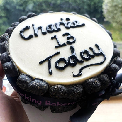 Vanilla Yoghurt Topped Pawty Cake for Dogs
