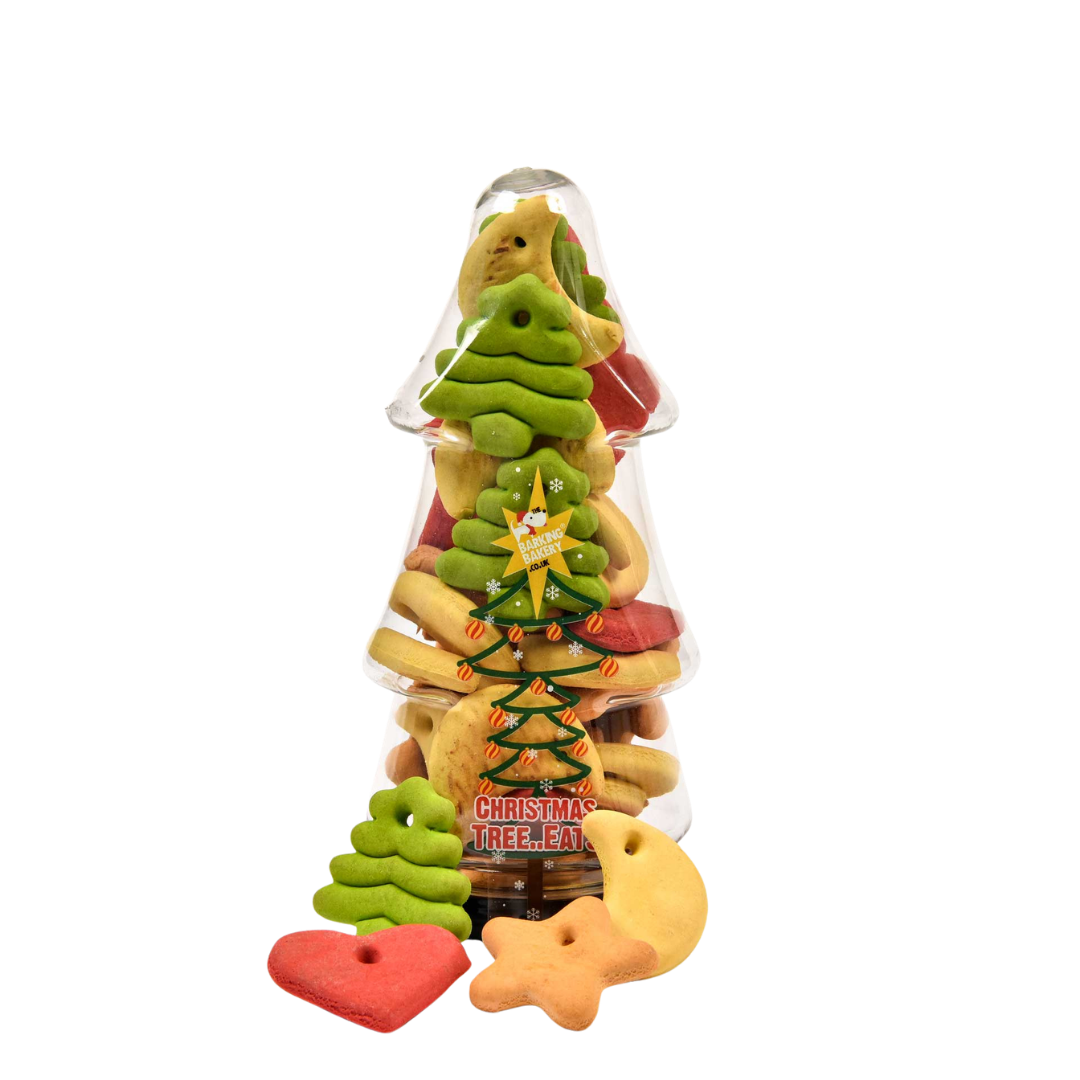 Christmas Biscuit Tree...eats! | Treats in Container