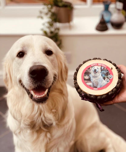 pet treats